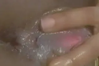 two chocolate kittens moving to Orangeburg let's play - Image 1