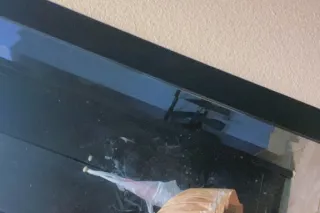 Car Visits - Image 2